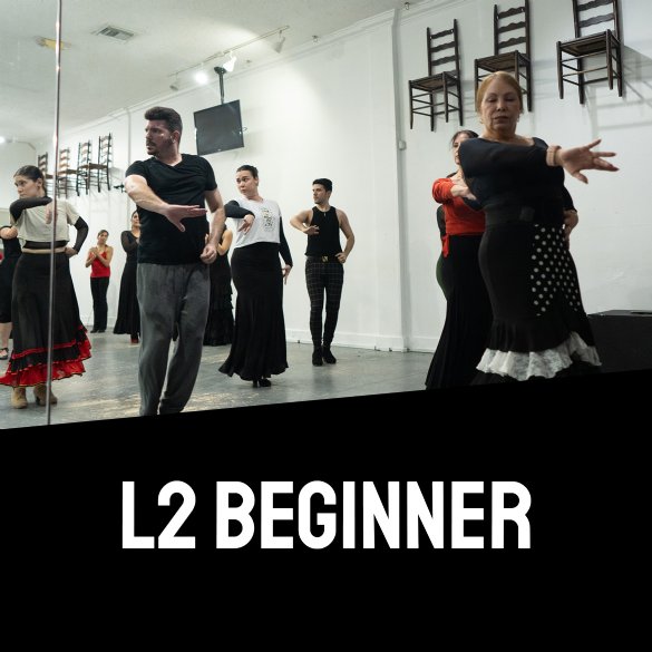 L1 Beginner Flamenco
