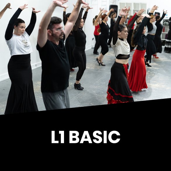 L1 Basic Flamenco - 1 Year Training