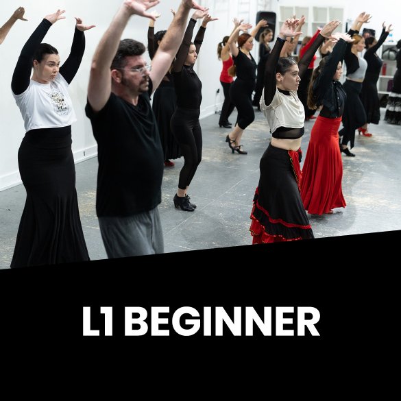 L1 Beginner Flamenco - 1 Year Training