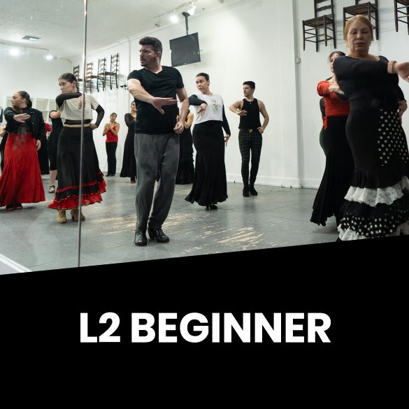 L2 Beginner - 1-4 Years Training