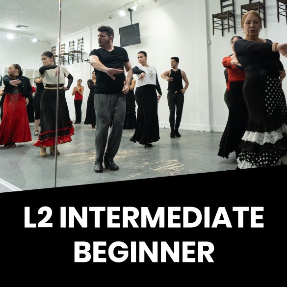 L2 Intermediate Beginner - 1-4 Years Training