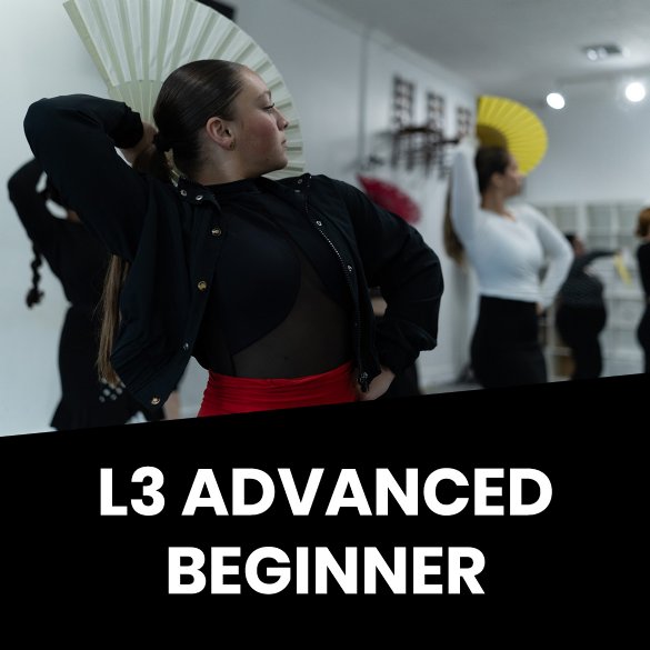 L3 Advanced Beginner - 4-6 Years Training