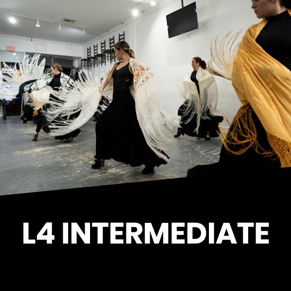 L4 Intermediate - 6-8 Years Training